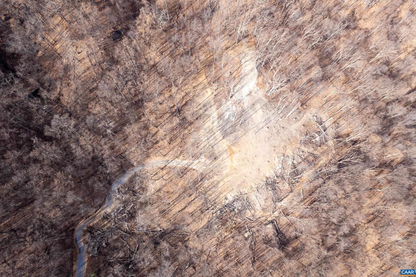 0 SADDLE HOLLOW RD, CROZET, Virginia 22932, ,Farm,For Sale,0 SADDLE HOLLOW RD,660978 MLS # 660978 0 SADDLE HOLLOW RD, CROZET, Virginia 22932, ,Farm,For Sale,0 SADDLE HOLLOW RD,660978 MLS # 660978