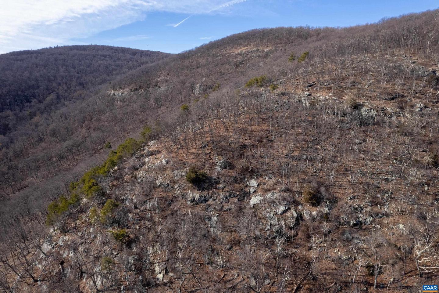 0 SADDLE HOLLOW RD, CROZET, Virginia 22932, ,Farm,For Sale,0 SADDLE HOLLOW RD,660978 MLS # 660978 0 SADDLE HOLLOW RD, CROZET, Virginia 22932, ,Farm,For Sale,0 SADDLE HOLLOW RD,660978 MLS # 660978