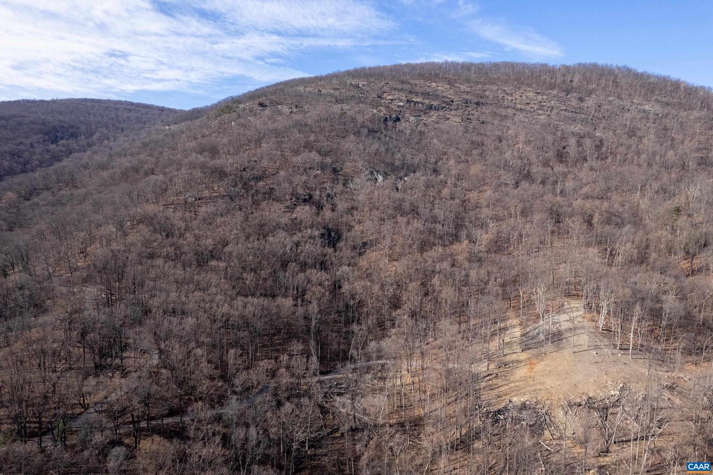 0 SADDLE HOLLOW RD, CROZET, Virginia 22932, ,Farm,For Sale,0 SADDLE HOLLOW RD,660978 MLS # 660978 0 SADDLE HOLLOW RD, CROZET, Virginia 22932, ,Farm,For Sale,0 SADDLE HOLLOW RD,660978 MLS # 660978