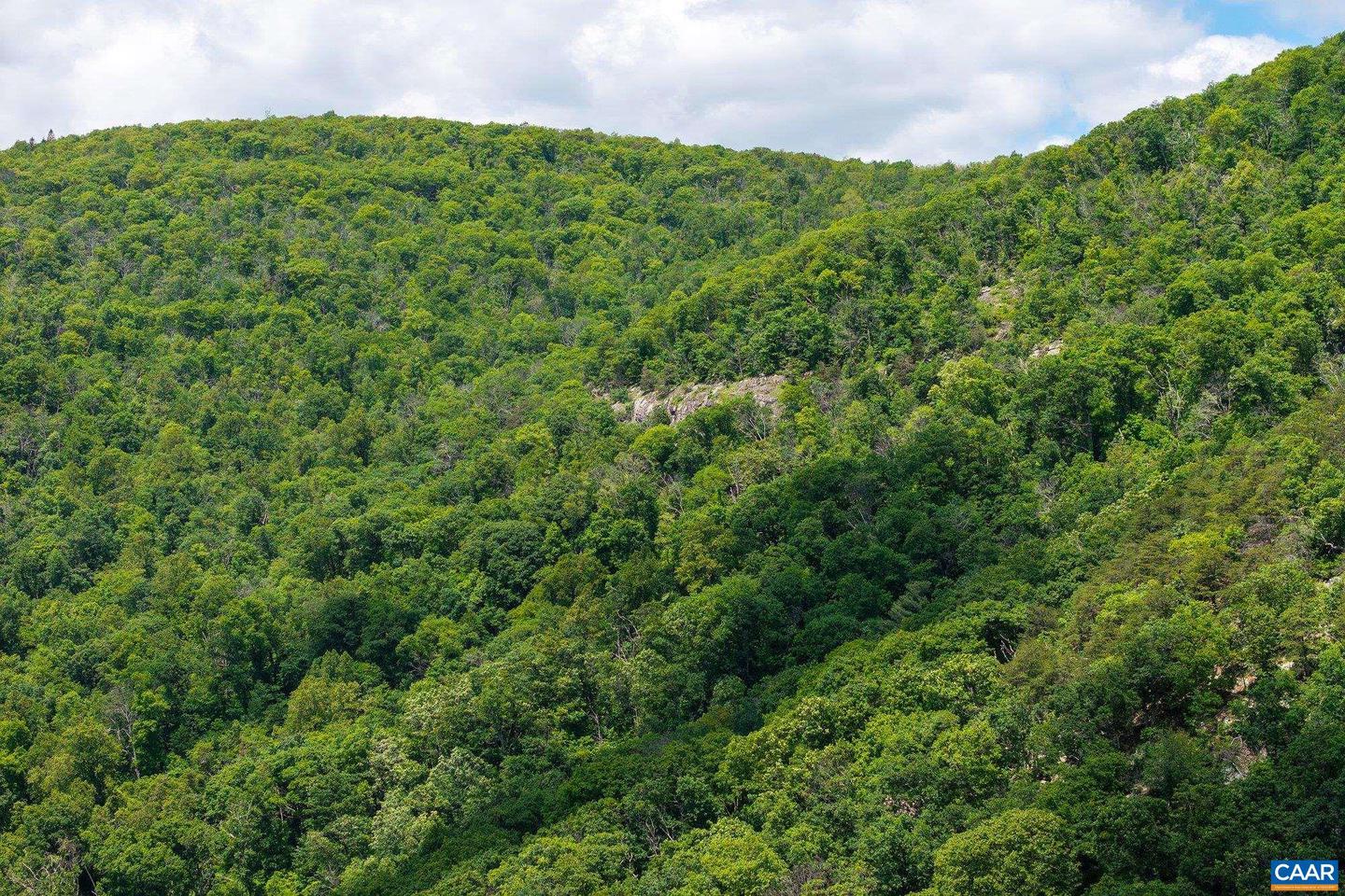 0 SADDLE HOLLOW RD, CROZET, Virginia 22932, ,Farm,For Sale,0 SADDLE HOLLOW RD,660978 MLS # 660978 0 SADDLE HOLLOW RD, CROZET, Virginia 22932, ,Farm,For Sale,0 SADDLE HOLLOW RD,660978 MLS # 660978