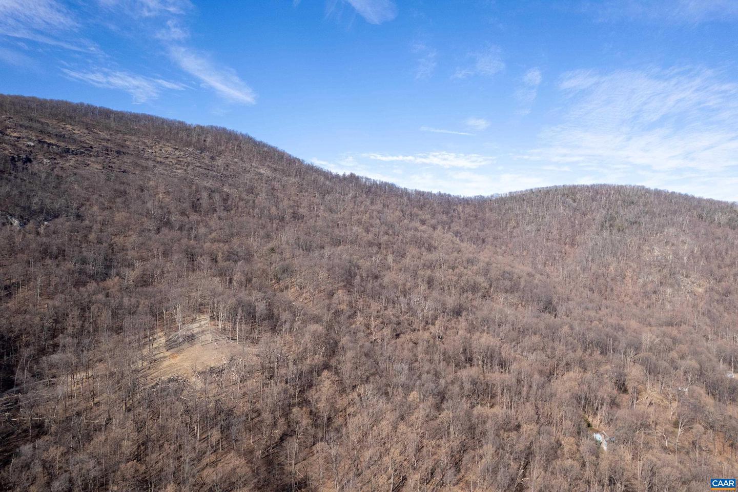 0 SADDLE HOLLOW RD, CROZET, Virginia 22932, ,Farm,For Sale,0 SADDLE HOLLOW RD,660978 MLS # 660978 0 SADDLE HOLLOW RD, CROZET, Virginia 22932, ,Farm,For Sale,0 SADDLE HOLLOW RD,660978 MLS # 660978