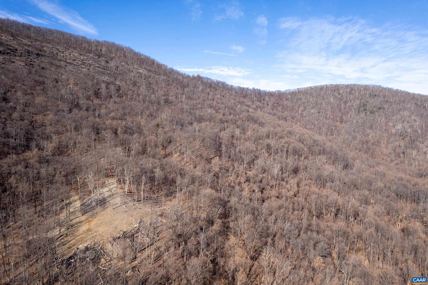 0 SADDLE HOLLOW RD, CROZET, Virginia 22932, ,Farm,For Sale,0 SADDLE HOLLOW RD,660978 MLS # 660978 0 SADDLE HOLLOW RD, CROZET, Virginia 22932, ,Farm,For Sale,0 SADDLE HOLLOW RD,660978 MLS # 660978