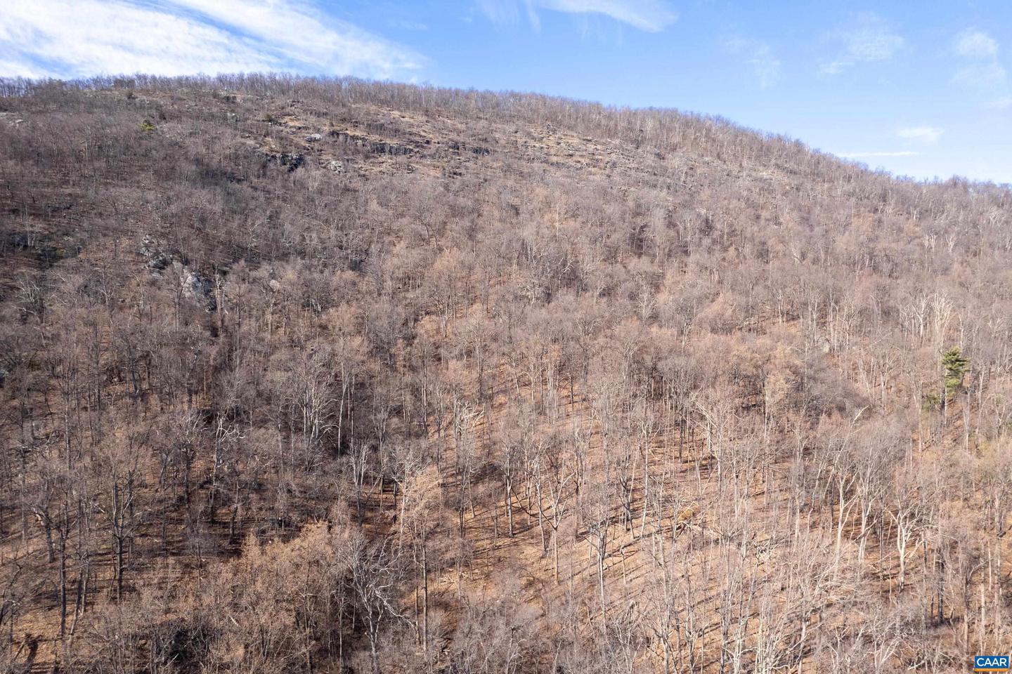 0 SADDLE HOLLOW RD, CROZET, Virginia 22932, ,Farm,For Sale,0 SADDLE HOLLOW RD,660978 MLS # 660978 0 SADDLE HOLLOW RD, CROZET, Virginia 22932, ,Farm,For Sale,0 SADDLE HOLLOW RD,660978 MLS # 660978