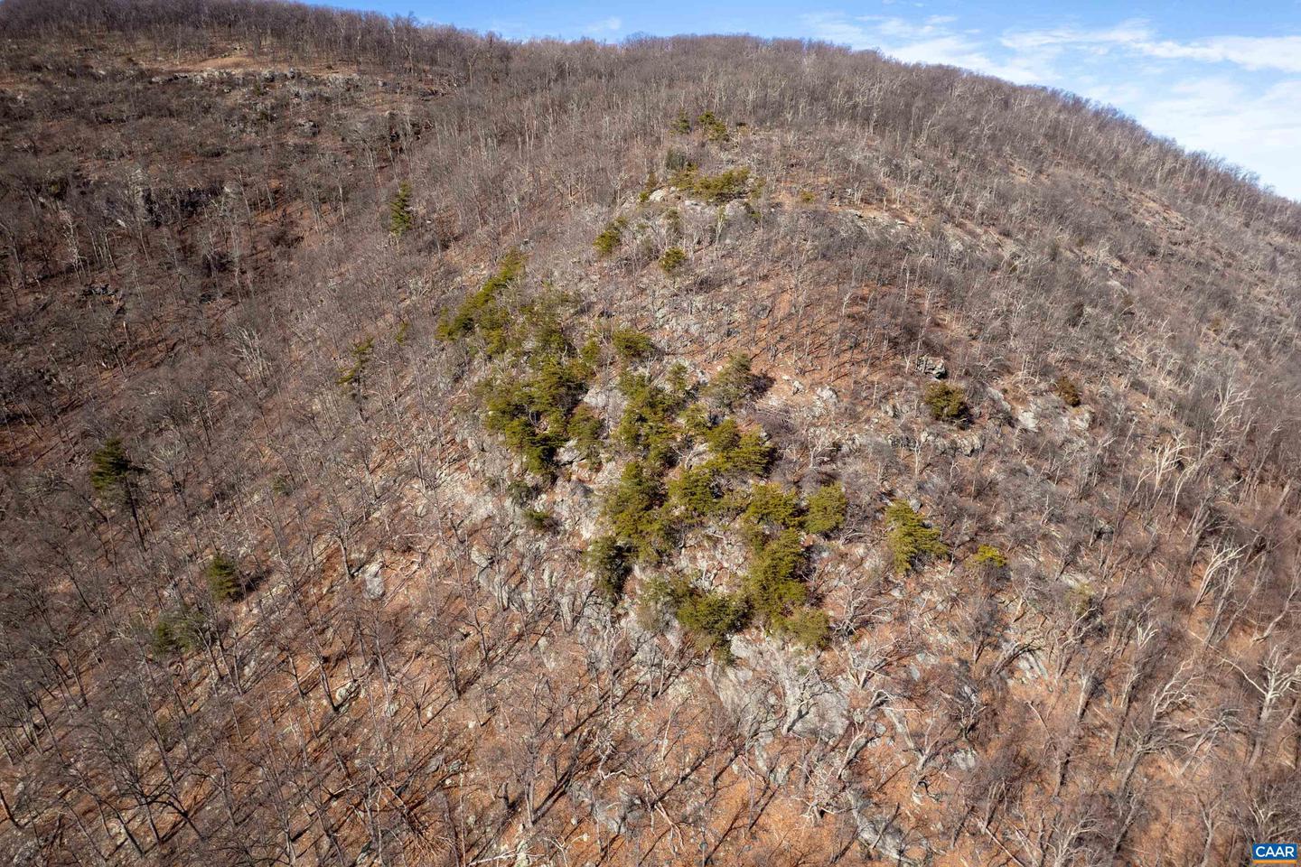 0 SADDLE HOLLOW RD, CROZET, Virginia 22932, ,Farm,For Sale,0 SADDLE HOLLOW RD,660978 MLS # 660978 0 SADDLE HOLLOW RD, CROZET, Virginia 22932, ,Farm,For Sale,0 SADDLE HOLLOW RD,660978 MLS # 660978