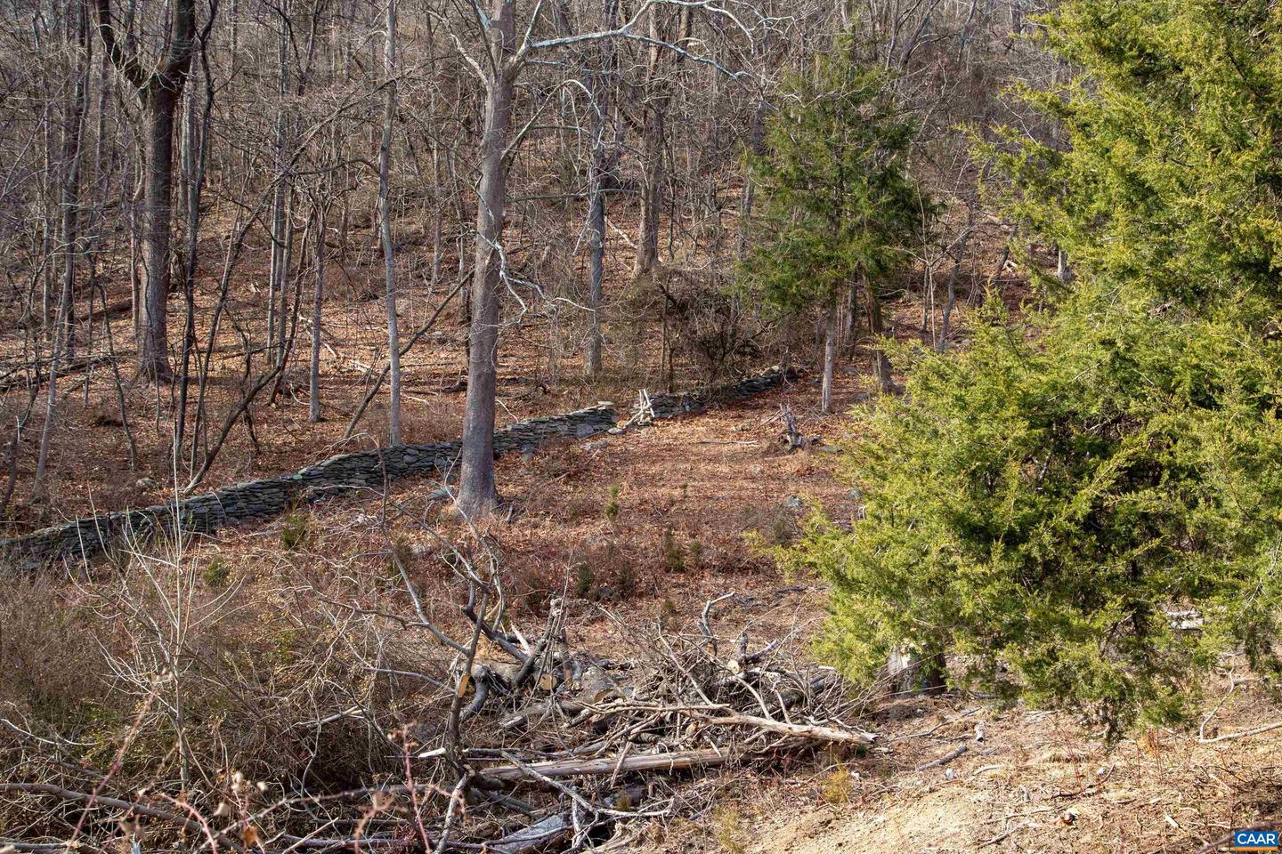 0 SADDLE HOLLOW RD, CROZET, Virginia 22932, ,Farm,For Sale,0 SADDLE HOLLOW RD,660978 MLS # 660978 0 SADDLE HOLLOW RD, CROZET, Virginia 22932, ,Farm,For Sale,0 SADDLE HOLLOW RD,660978 MLS # 660978