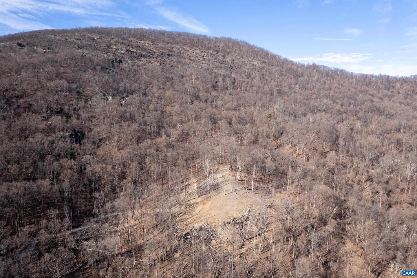 0 SADDLE HOLLOW RD, CROZET, Virginia 22932, ,Farm,For Sale,0 SADDLE HOLLOW RD,660978 MLS # 660978 0 SADDLE HOLLOW RD, CROZET, Virginia 22932, ,Farm,For Sale,0 SADDLE HOLLOW RD,660978 MLS # 660978