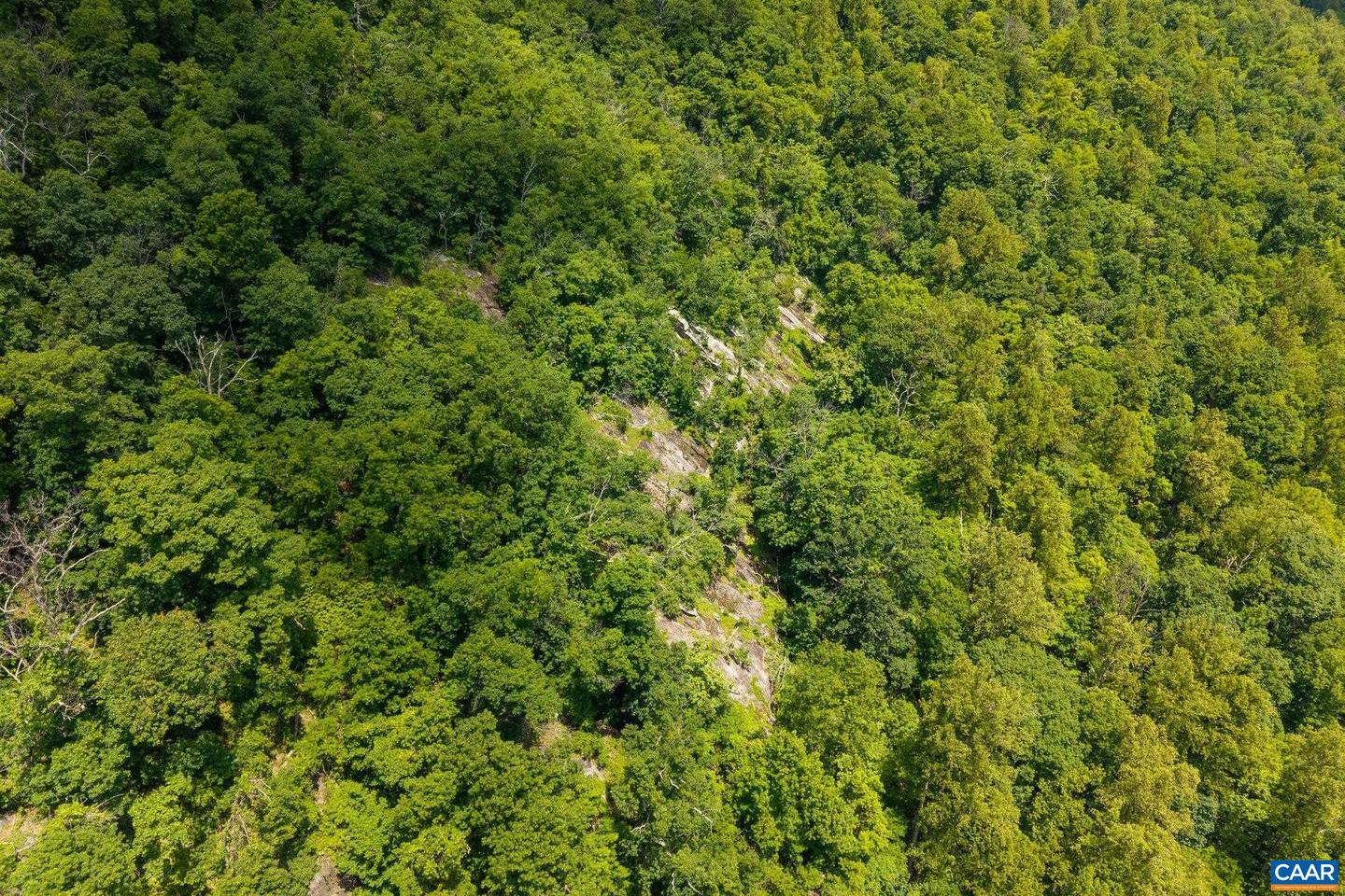 0 SADDLE HOLLOW RD, CROZET, Virginia 22932, ,Farm,For Sale,0 SADDLE HOLLOW RD,660978 MLS # 660978 0 SADDLE HOLLOW RD, CROZET, Virginia 22932, ,Farm,For Sale,0 SADDLE HOLLOW RD,660978 MLS # 660978