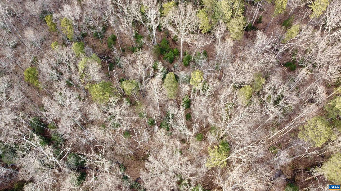 20602 BEAVERDAM RD, BEAVERDAM, Virginia 23015, ,Farm,For Sale,20602 BEAVERDAM RD,661003 MLS # 661003 20602 BEAVERDAM RD, BEAVERDAM, Virginia 23015, ,Farm,For Sale,20602 BEAVERDAM RD,661003 MLS # 661003