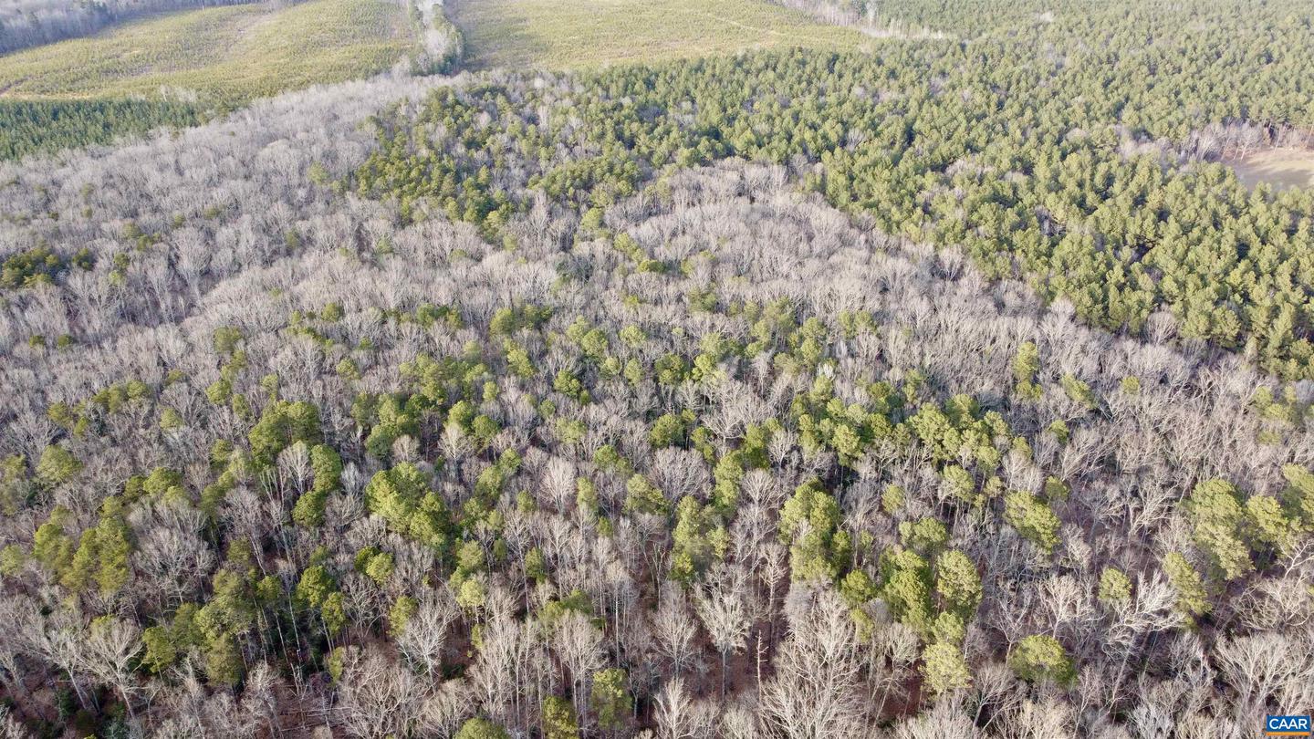 20602 BEAVERDAM RD, BEAVERDAM, Virginia 23015, ,Farm,For Sale,20602 BEAVERDAM RD,661003 MLS # 661003 20602 BEAVERDAM RD, BEAVERDAM, Virginia 23015, ,Farm,For Sale,20602 BEAVERDAM RD,661003 MLS # 661003