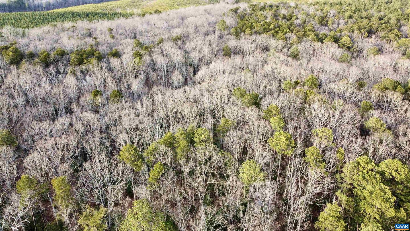 20602 BEAVERDAM RD, BEAVERDAM, Virginia 23015, ,Farm,For Sale,20602 BEAVERDAM RD,661003 MLS # 661003 20602 BEAVERDAM RD, BEAVERDAM, Virginia 23015, ,Farm,For Sale,20602 BEAVERDAM RD,661003 MLS # 661003