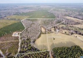 20602 BEAVERDAM RD, BEAVERDAM, Virginia 23015, ,Farm,For Sale,20602 BEAVERDAM RD,661003 MLS # 661003 20602 BEAVERDAM RD, BEAVERDAM, Virginia 23015, ,Farm,For Sale,20602 BEAVERDAM RD,661003 MLS # 661003