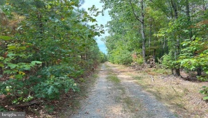 RIDGE ROAD, ARVONIA, Virginia 23004, ,Farm,For Sale,RIDGE ROAD,VABH2000162 MLS # VABH2000162