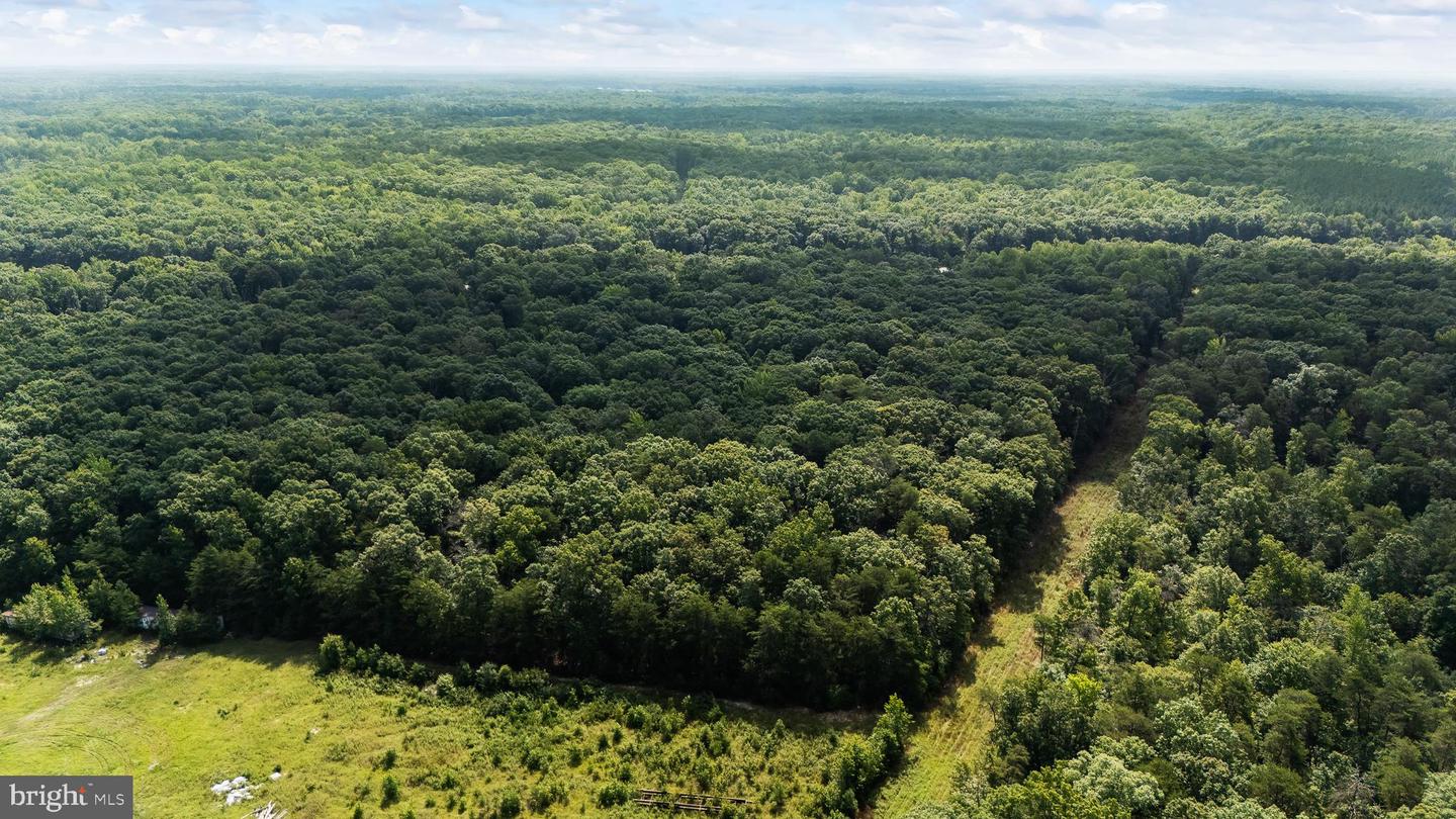 4720 +4728 MASSAPONAX CHURCH RD, FREDERICKSBURG, Virginia 22408, ,Land,For Sale,4720 +4728 MASSAPONAX CHURCH RD,VASP2026482 MLS # VASP2026482 4720 +4728 MASSAPONAX CHURCH RD, FREDERICKSBURG, Virginia 22408, ,Land,For Sale,4720 +4728 MASSAPONAX CHURCH RD,VASP2026482 MLS # VASP2026482