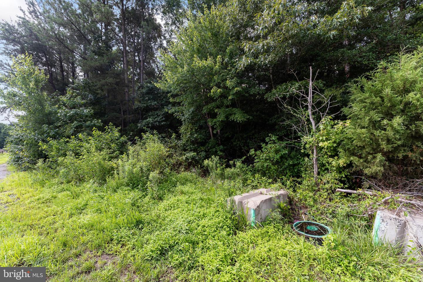 4720 +4728 MASSAPONAX CHURCH RD, FREDERICKSBURG, Virginia 22408, ,Land,For Sale,4720 +4728 MASSAPONAX CHURCH RD,VASP2026482 MLS # VASP2026482 4720 +4728 MASSAPONAX CHURCH RD, FREDERICKSBURG, Virginia 22408, ,Land,For Sale,4720 +4728 MASSAPONAX CHURCH RD,VASP2026482 MLS # VASP2026482