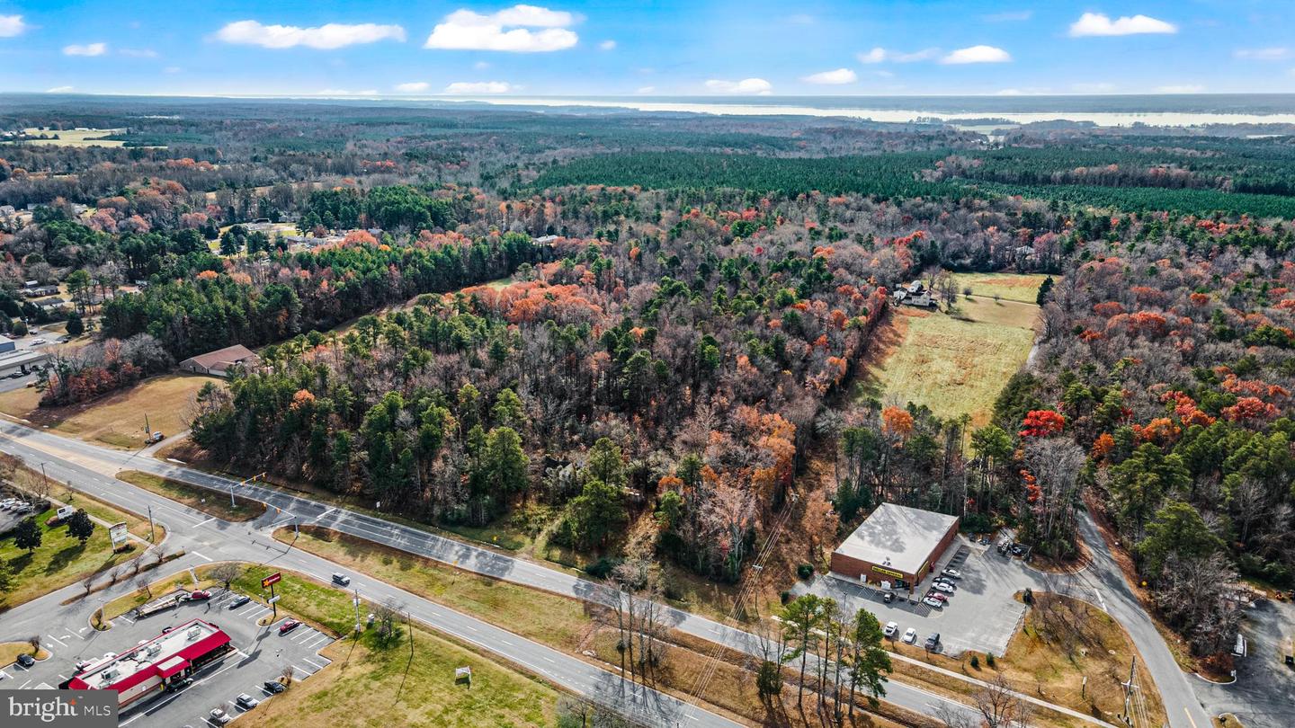 000 RICHMOND RD, WARSAW, Virginia 22572, ,Land,For Sale,000 RICHMOND RD,VARV2000462 MLS # VARV2000462 000 RICHMOND RD, WARSAW, Virginia 22572, ,Land,For Sale,000 RICHMOND RD,VARV2000462 MLS # VARV2000462