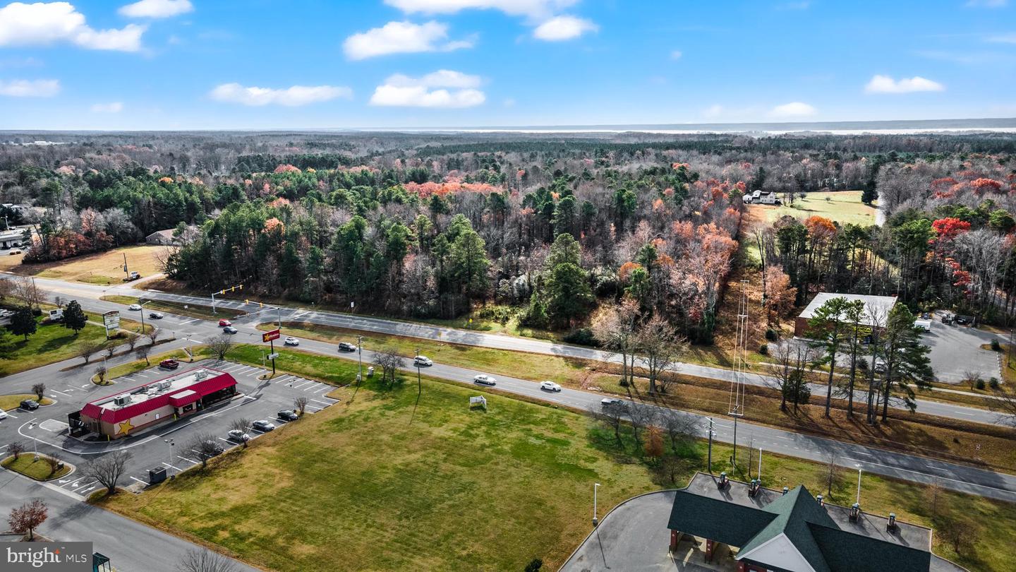 000 RICHMOND RD, WARSAW, Virginia 22572, ,Land,For Sale,000 RICHMOND RD,VARV2000462 MLS # VARV2000462 000 RICHMOND RD, WARSAW, Virginia 22572, ,Land,For Sale,000 RICHMOND RD,VARV2000462 MLS # VARV2000462