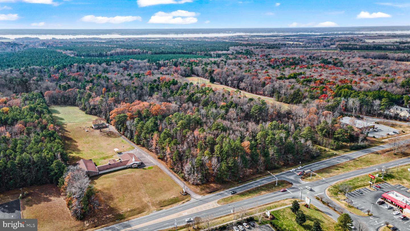 000 RICHMOND RD, WARSAW, Virginia 22572, ,Land,For Sale,000 RICHMOND RD,VARV2000462 MLS # VARV2000462 000 RICHMOND RD, WARSAW, Virginia 22572, ,Land,For Sale,000 RICHMOND RD,VARV2000462 MLS # VARV2000462