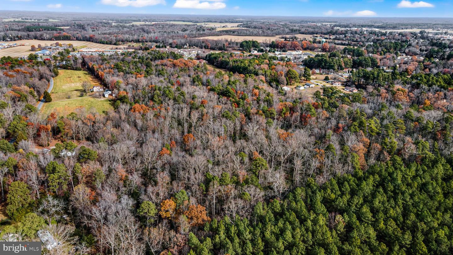 000 RICHMOND RD, WARSAW, Virginia 22572, ,Land,For Sale,000 RICHMOND RD,VARV2000462 MLS # VARV2000462 000 RICHMOND RD, WARSAW, Virginia 22572, ,Land,For Sale,000 RICHMOND RD,VARV2000462 MLS # VARV2000462