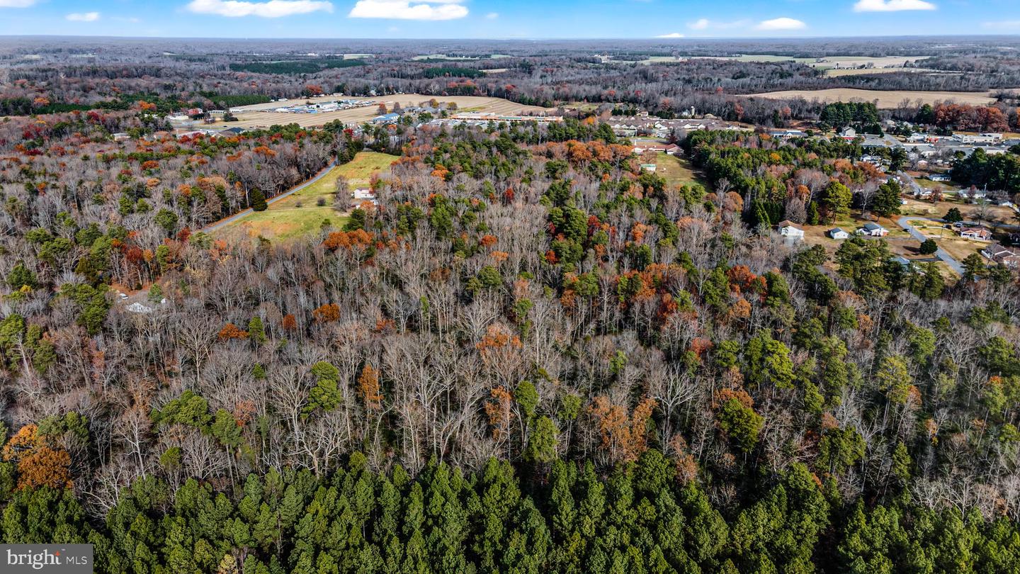 000 RICHMOND RD, WARSAW, Virginia 22572, ,Land,For Sale,000 RICHMOND RD,VARV2000462 MLS # VARV2000462 000 RICHMOND RD, WARSAW, Virginia 22572, ,Land,For Sale,000 RICHMOND RD,VARV2000462 MLS # VARV2000462