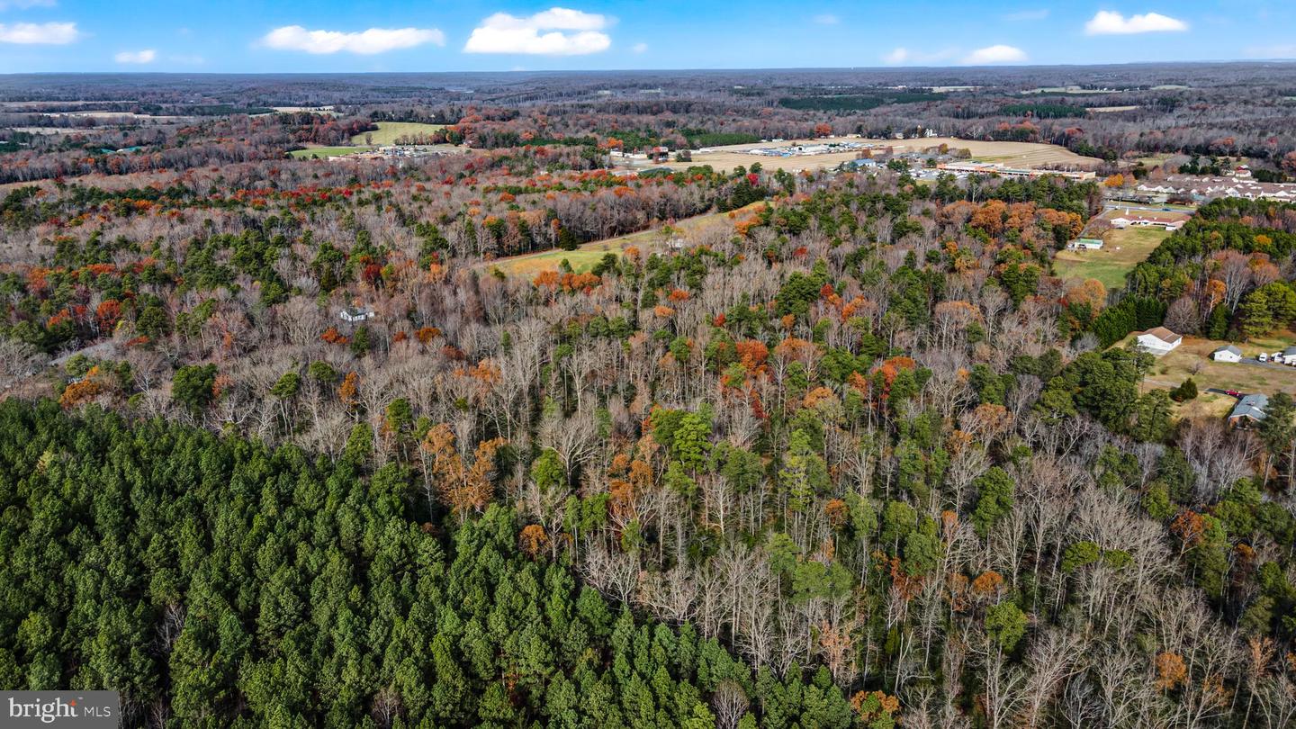 000 RICHMOND RD, WARSAW, Virginia 22572, ,Land,For Sale,000 RICHMOND RD,VARV2000462 MLS # VARV2000462 000 RICHMOND RD, WARSAW, Virginia 22572, ,Land,For Sale,000 RICHMOND RD,VARV2000462 MLS # VARV2000462