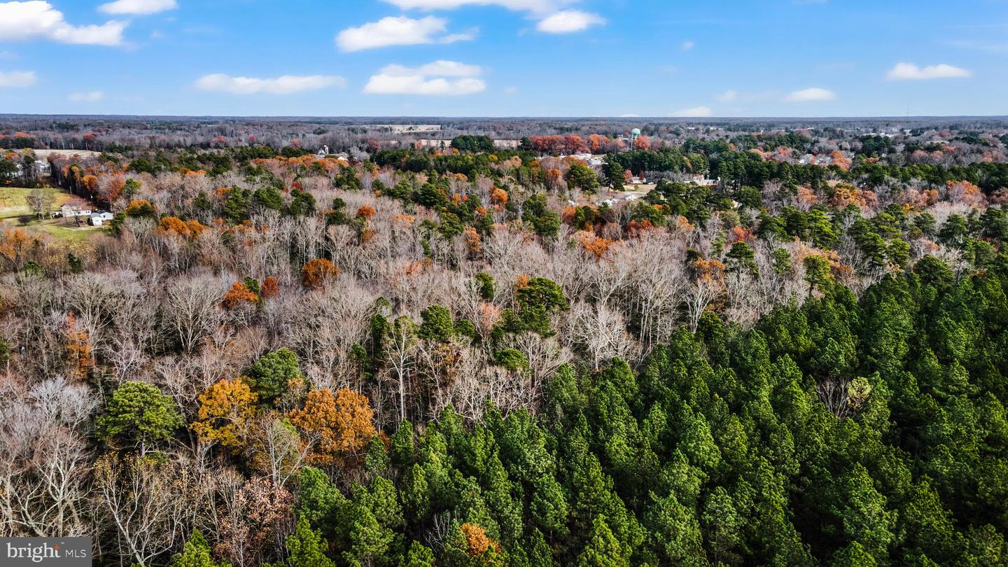 000 RICHMOND RD, WARSAW, Virginia 22572, ,Land,For Sale,000 RICHMOND RD,VARV2000462 MLS # VARV2000462 000 RICHMOND RD, WARSAW, Virginia 22572, ,Land,For Sale,000 RICHMOND RD,VARV2000462 MLS # VARV2000462