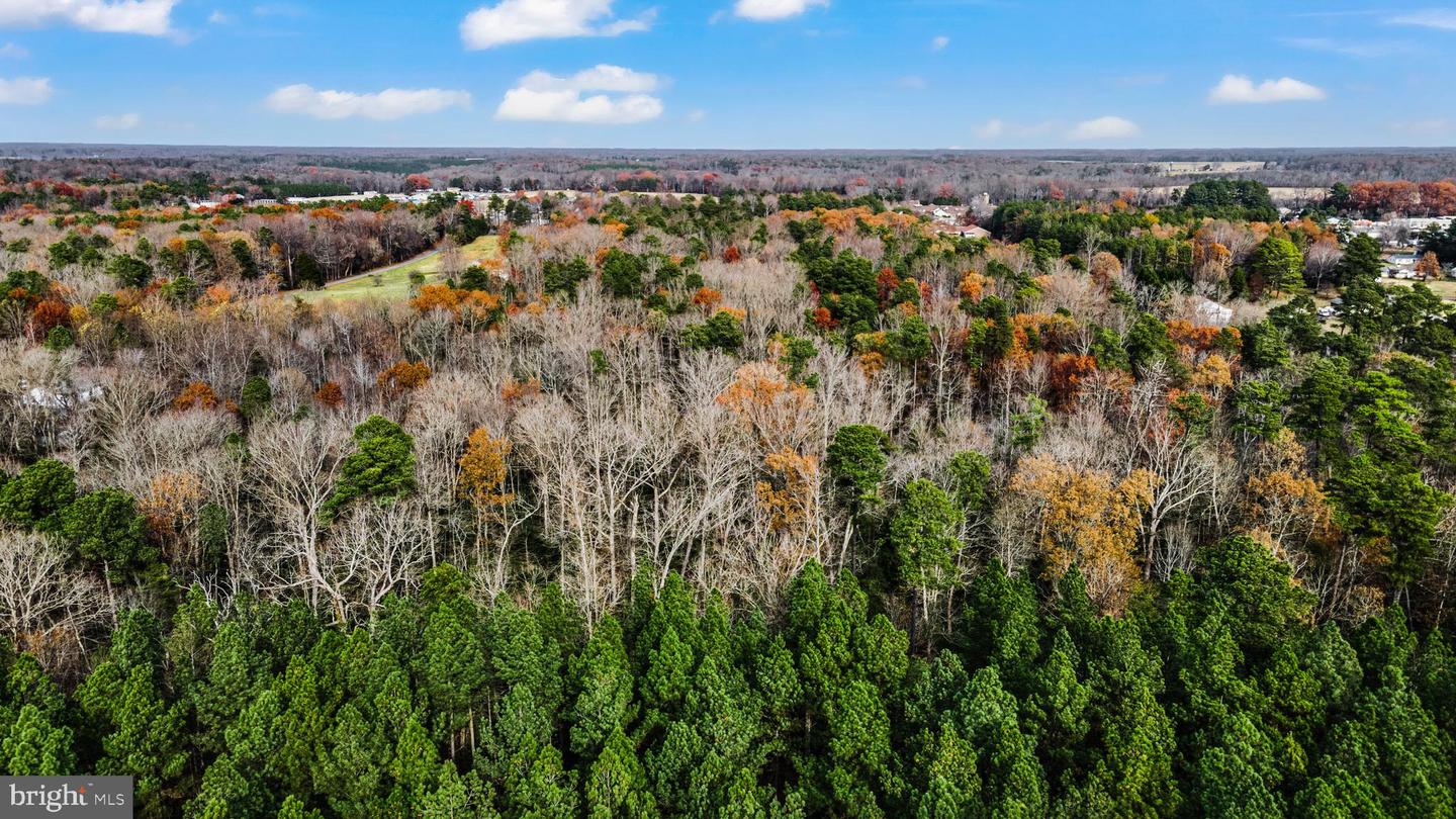 000 RICHMOND RD, WARSAW, Virginia 22572, ,Land,For Sale,000 RICHMOND RD,VARV2000462 MLS # VARV2000462 000 RICHMOND RD, WARSAW, Virginia 22572, ,Land,For Sale,000 RICHMOND RD,VARV2000462 MLS # VARV2000462