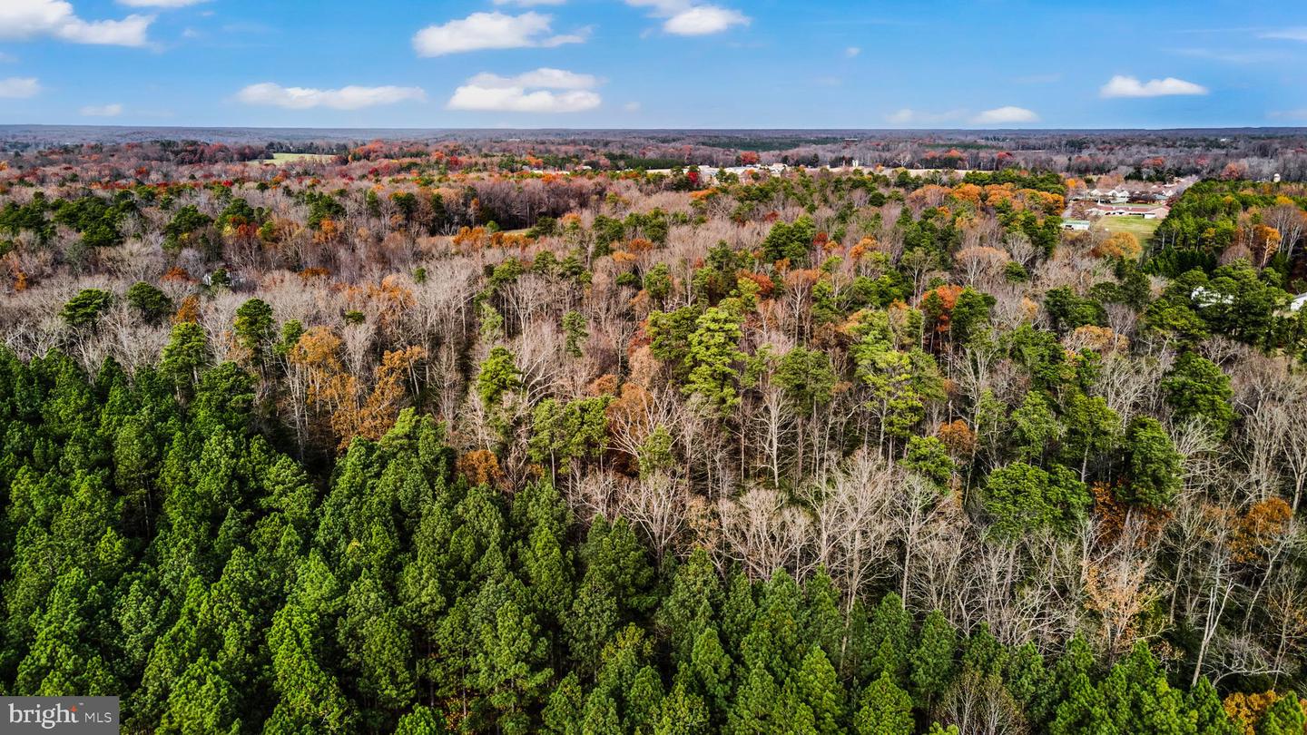 000 RICHMOND RD, WARSAW, Virginia 22572, ,Land,For Sale,000 RICHMOND RD,VARV2000462 MLS # VARV2000462 000 RICHMOND RD, WARSAW, Virginia 22572, ,Land,For Sale,000 RICHMOND RD,VARV2000462 MLS # VARV2000462
