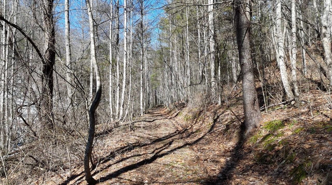 tbd WESTMINSTER RD, MILLBORO, Virginia 24460, ,Farm,14,tbd WESTMINSTER RD,661307 MLS # 661307 tbd WESTMINSTER RD, MILLBORO, Virginia 24460, ,Farm,14,tbd WESTMINSTER RD,661307 MLS # 661307