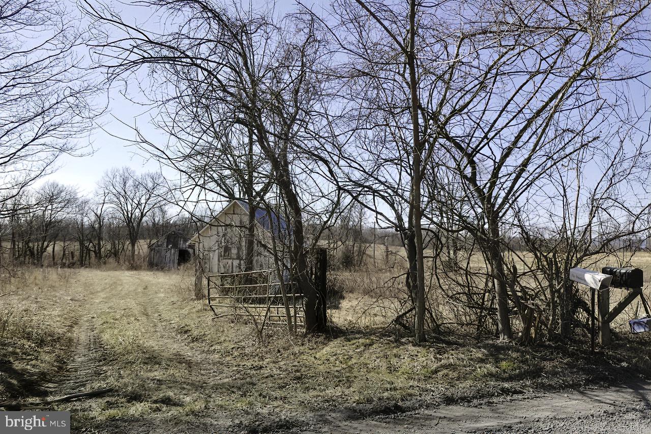 40455 QUARTER BRANCH RD, LOVETTSVILLE, Virginia 20180, ,Land,For Sale,40455 QUARTER BRANCH RD,VALO2090088 MLS # VALO2090088 40455 QUARTER BRANCH RD, LOVETTSVILLE, Virginia 20180, ,Land,For Sale,40455 QUARTER BRANCH RD,VALO2090088 MLS # VALO2090088