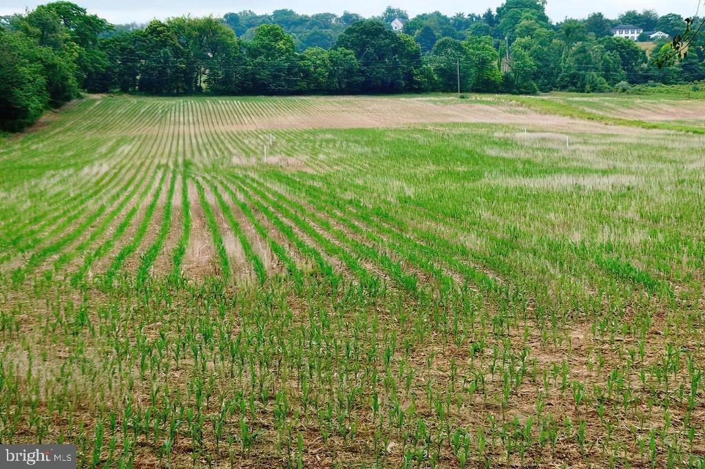 40455 QUARTER BRANCH RD, LOVETTSVILLE, Virginia 20180, ,Land,For Sale,40455 QUARTER BRANCH RD,VALO2090088 MLS # VALO2090088 40455 QUARTER BRANCH RD, LOVETTSVILLE, Virginia 20180, ,Land,For Sale,40455 QUARTER BRANCH RD,VALO2090088 MLS # VALO2090088