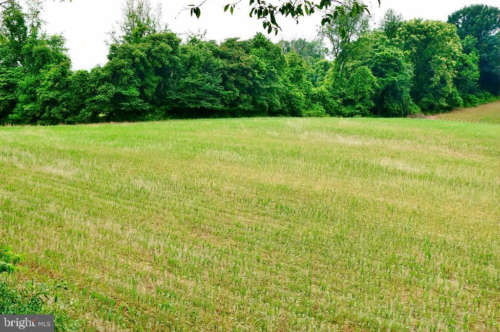 40455 QUARTER BRANCH RD, LOVETTSVILLE, Virginia 20180, ,Land,For Sale,40455 QUARTER BRANCH RD,VALO2090088 MLS # VALO2090088 40455 QUARTER BRANCH RD, LOVETTSVILLE, Virginia 20180, ,Land,For Sale,40455 QUARTER BRANCH RD,VALO2090088 MLS # VALO2090088