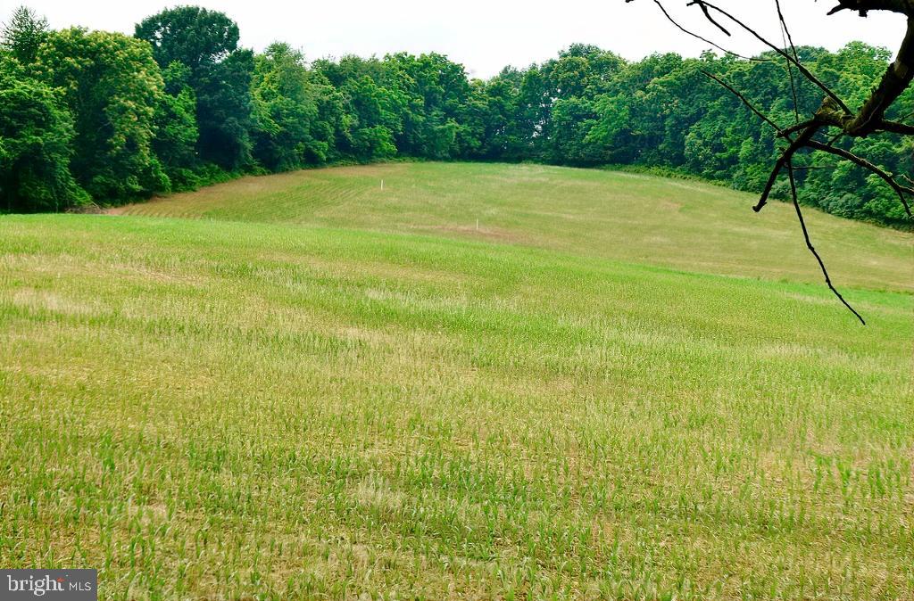 40455 QUARTER BRANCH RD, LOVETTSVILLE, Virginia 20180, ,Land,For Sale,40455 QUARTER BRANCH RD,VALO2090088 MLS # VALO2090088 40455 QUARTER BRANCH RD, LOVETTSVILLE, Virginia 20180, ,Land,For Sale,40455 QUARTER BRANCH RD,VALO2090088 MLS # VALO2090088