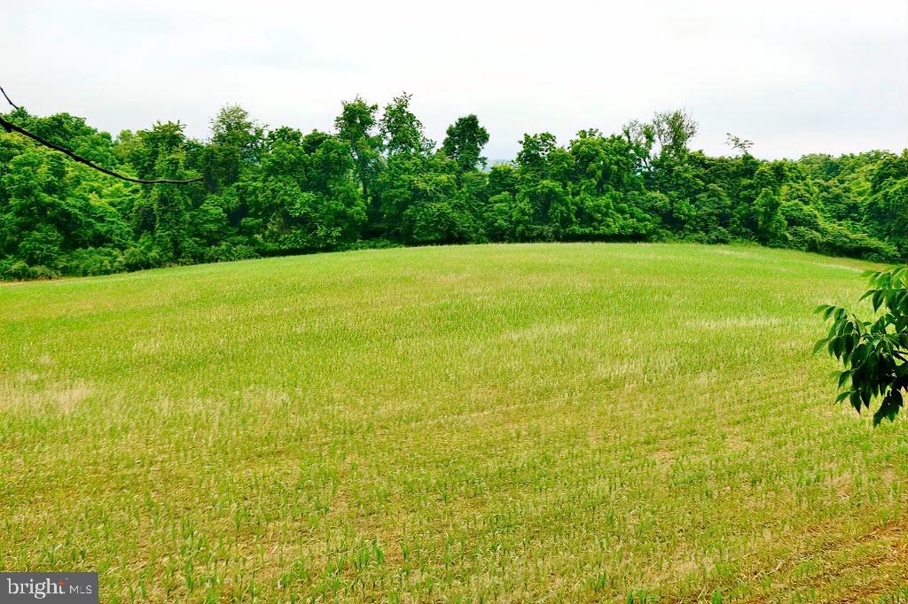 40455 QUARTER BRANCH RD, LOVETTSVILLE, Virginia 20180, ,Land,For Sale,40455 QUARTER BRANCH RD,VALO2090088 MLS # VALO2090088 40455 QUARTER BRANCH RD, LOVETTSVILLE, Virginia 20180, ,Land,For Sale,40455 QUARTER BRANCH RD,VALO2090088 MLS # VALO2090088