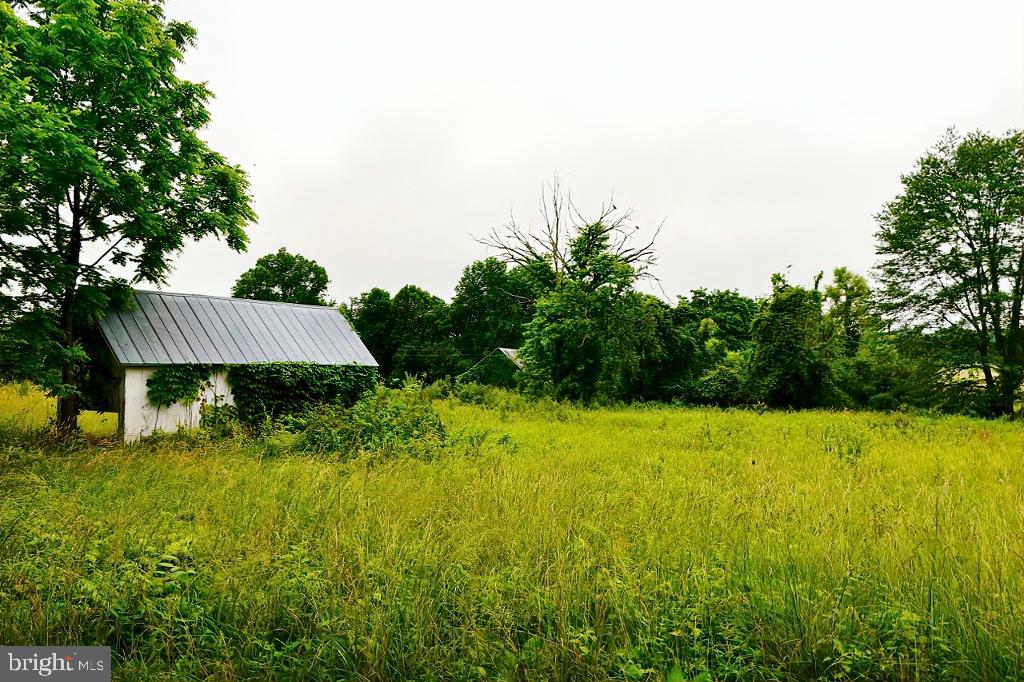 40455 QUARTER BRANCH RD, LOVETTSVILLE, Virginia 20180, ,Land,For Sale,40455 QUARTER BRANCH RD,VALO2090088 MLS # VALO2090088 40455 QUARTER BRANCH RD, LOVETTSVILLE, Virginia 20180, ,Land,For Sale,40455 QUARTER BRANCH RD,VALO2090088 MLS # VALO2090088