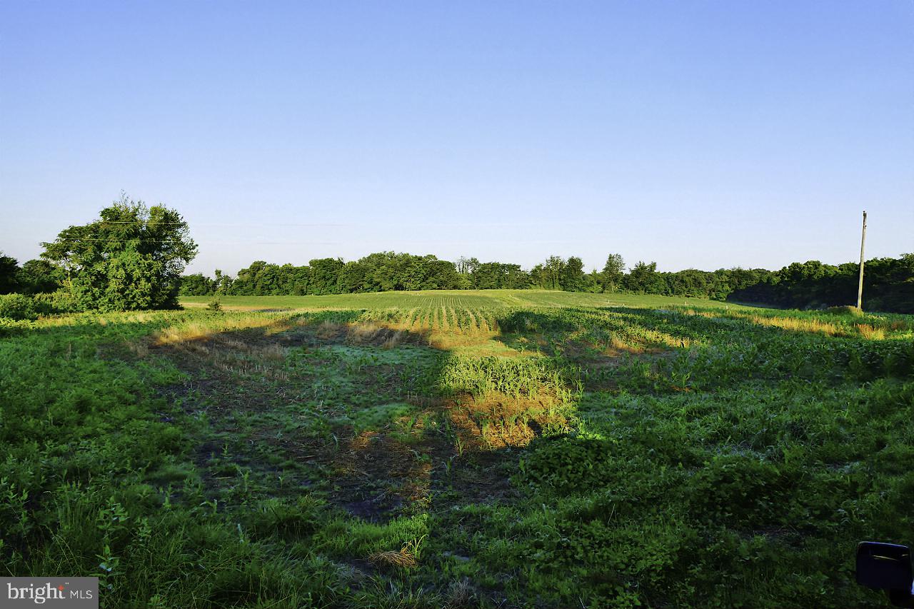 40455 QUARTER BRANCH RD, LOVETTSVILLE, Virginia 20180, ,Land,For Sale,40455 QUARTER BRANCH RD,VALO2090088 MLS # VALO2090088 40455 QUARTER BRANCH RD, LOVETTSVILLE, Virginia 20180, ,Land,For Sale,40455 QUARTER BRANCH RD,VALO2090088 MLS # VALO2090088