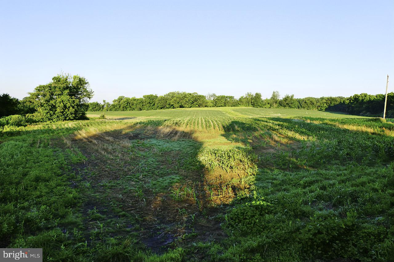 40455 QUARTER BRANCH RD, LOVETTSVILLE, Virginia 20180, ,Land,For Sale,40455 QUARTER BRANCH RD,VALO2090088 MLS # VALO2090088 40455 QUARTER BRANCH RD, LOVETTSVILLE, Virginia 20180, ,Land,For Sale,40455 QUARTER BRANCH RD,VALO2090088 MLS # VALO2090088