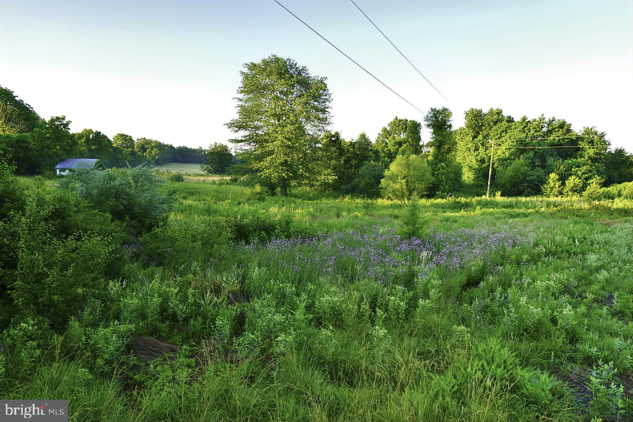 40455 QUARTER BRANCH RD, LOVETTSVILLE, Virginia 20180, ,Land,For Sale,40455 QUARTER BRANCH RD,VALO2090088 MLS # VALO2090088 40455 QUARTER BRANCH RD, LOVETTSVILLE, Virginia 20180, ,Land,For Sale,40455 QUARTER BRANCH RD,VALO2090088 MLS # VALO2090088