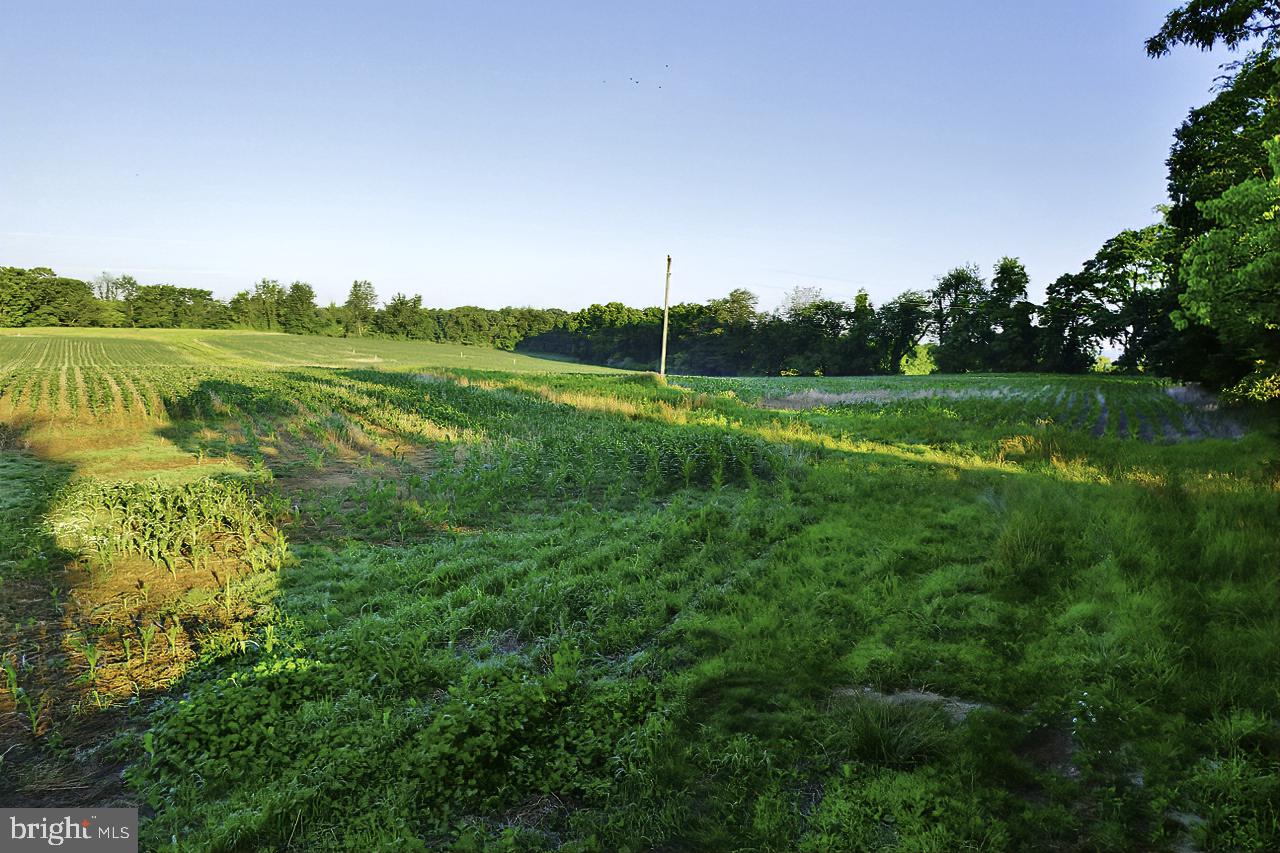 40455 QUARTER BRANCH RD, LOVETTSVILLE, Virginia 20180, ,Land,For Sale,40455 QUARTER BRANCH RD,VALO2090088 MLS # VALO2090088 40455 QUARTER BRANCH RD, LOVETTSVILLE, Virginia 20180, ,Land,For Sale,40455 QUARTER BRANCH RD,VALO2090088 MLS # VALO2090088