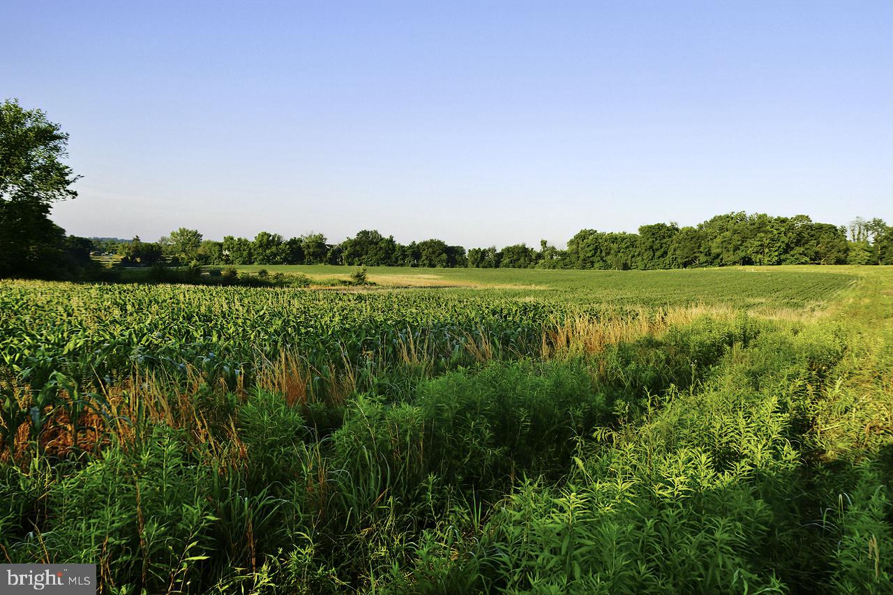 40455 QUARTER BRANCH RD, LOVETTSVILLE, Virginia 20180, ,Land,For Sale,40455 QUARTER BRANCH RD,VALO2090088 MLS # VALO2090088 40455 QUARTER BRANCH RD, LOVETTSVILLE, Virginia 20180, ,Land,For Sale,40455 QUARTER BRANCH RD,VALO2090088 MLS # VALO2090088