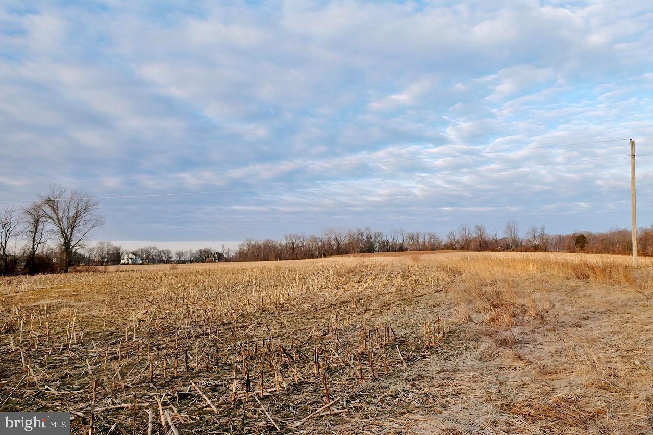 40455 QUARTER BRANCH RD, LOVETTSVILLE, Virginia 20180, ,Land,For Sale,40455 QUARTER BRANCH RD,VALO2090088 MLS # VALO2090088 40455 QUARTER BRANCH RD, LOVETTSVILLE, Virginia 20180, ,Land,For Sale,40455 QUARTER BRANCH RD,VALO2090088 MLS # VALO2090088