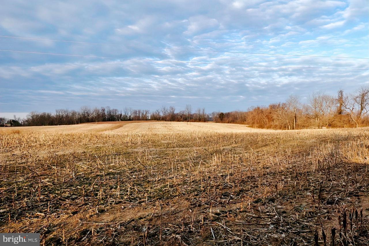 40455 QUARTER BRANCH RD, LOVETTSVILLE, Virginia 20180, ,Land,For Sale,40455 QUARTER BRANCH RD,VALO2090088 MLS # VALO2090088 40455 QUARTER BRANCH RD, LOVETTSVILLE, Virginia 20180, ,Land,For Sale,40455 QUARTER BRANCH RD,VALO2090088 MLS # VALO2090088