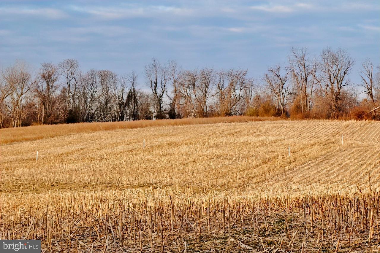 40455 QUARTER BRANCH RD, LOVETTSVILLE, Virginia 20180, ,Land,For Sale,40455 QUARTER BRANCH RD,VALO2090088 MLS # VALO2090088 40455 QUARTER BRANCH RD, LOVETTSVILLE, Virginia 20180, ,Land,For Sale,40455 QUARTER BRANCH RD,VALO2090088 MLS # VALO2090088