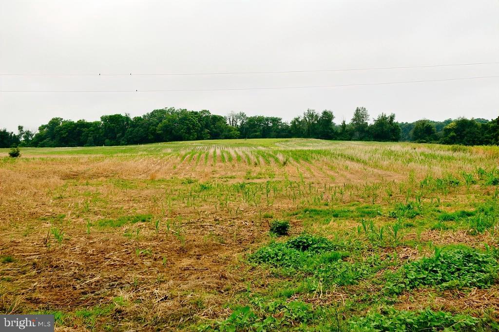 40455 QUARTER BRANCH RD, LOVETTSVILLE, Virginia 20180, ,Land,For Sale,40455 QUARTER BRANCH RD,VALO2090088 MLS # VALO2090088 40455 QUARTER BRANCH RD, LOVETTSVILLE, Virginia 20180, ,Land,For Sale,40455 QUARTER BRANCH RD,VALO2090088 MLS # VALO2090088