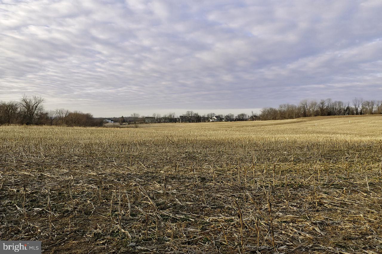 40455 QUARTER BRANCH RD, LOVETTSVILLE, Virginia 20180, ,Land,For Sale,40455 QUARTER BRANCH RD,VALO2090088 MLS # VALO2090088 40455 QUARTER BRANCH RD, LOVETTSVILLE, Virginia 20180, ,Land,For Sale,40455 QUARTER BRANCH RD,VALO2090088 MLS # VALO2090088