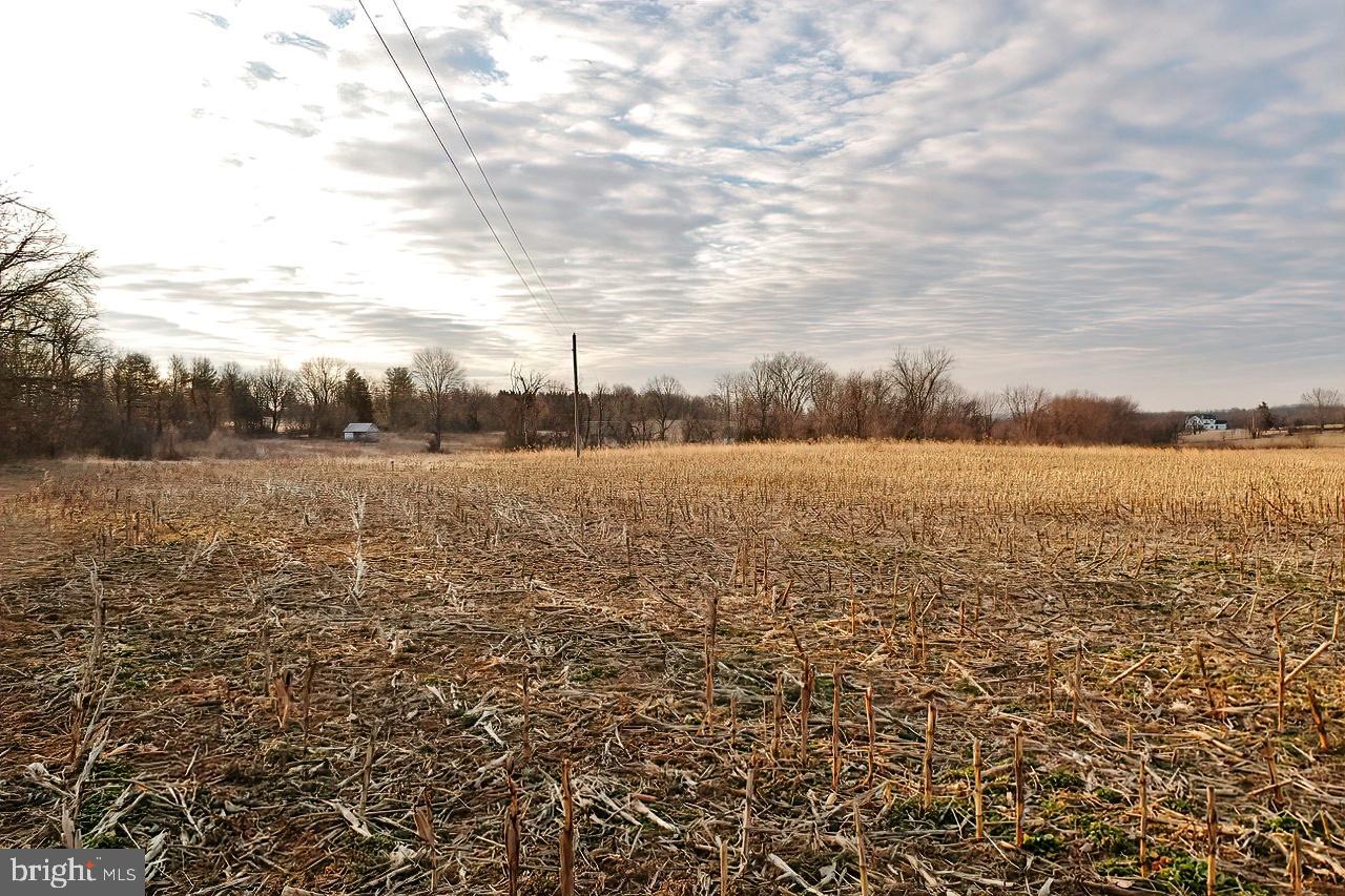 40455 QUARTER BRANCH RD, LOVETTSVILLE, Virginia 20180, ,Land,For Sale,40455 QUARTER BRANCH RD,VALO2090088 MLS # VALO2090088 40455 QUARTER BRANCH RD, LOVETTSVILLE, Virginia 20180, ,Land,For Sale,40455 QUARTER BRANCH RD,VALO2090088 MLS # VALO2090088