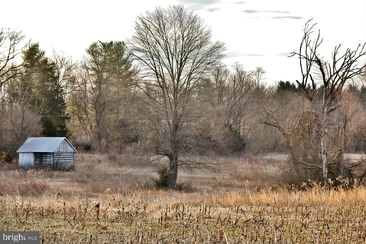 40455 QUARTER BRANCH RD, LOVETTSVILLE, Virginia 20180, ,Land,For Sale,40455 QUARTER BRANCH RD,VALO2090088 MLS # VALO2090088 40455 QUARTER BRANCH RD, LOVETTSVILLE, Virginia 20180, ,Land,For Sale,40455 QUARTER BRANCH RD,VALO2090088 MLS # VALO2090088