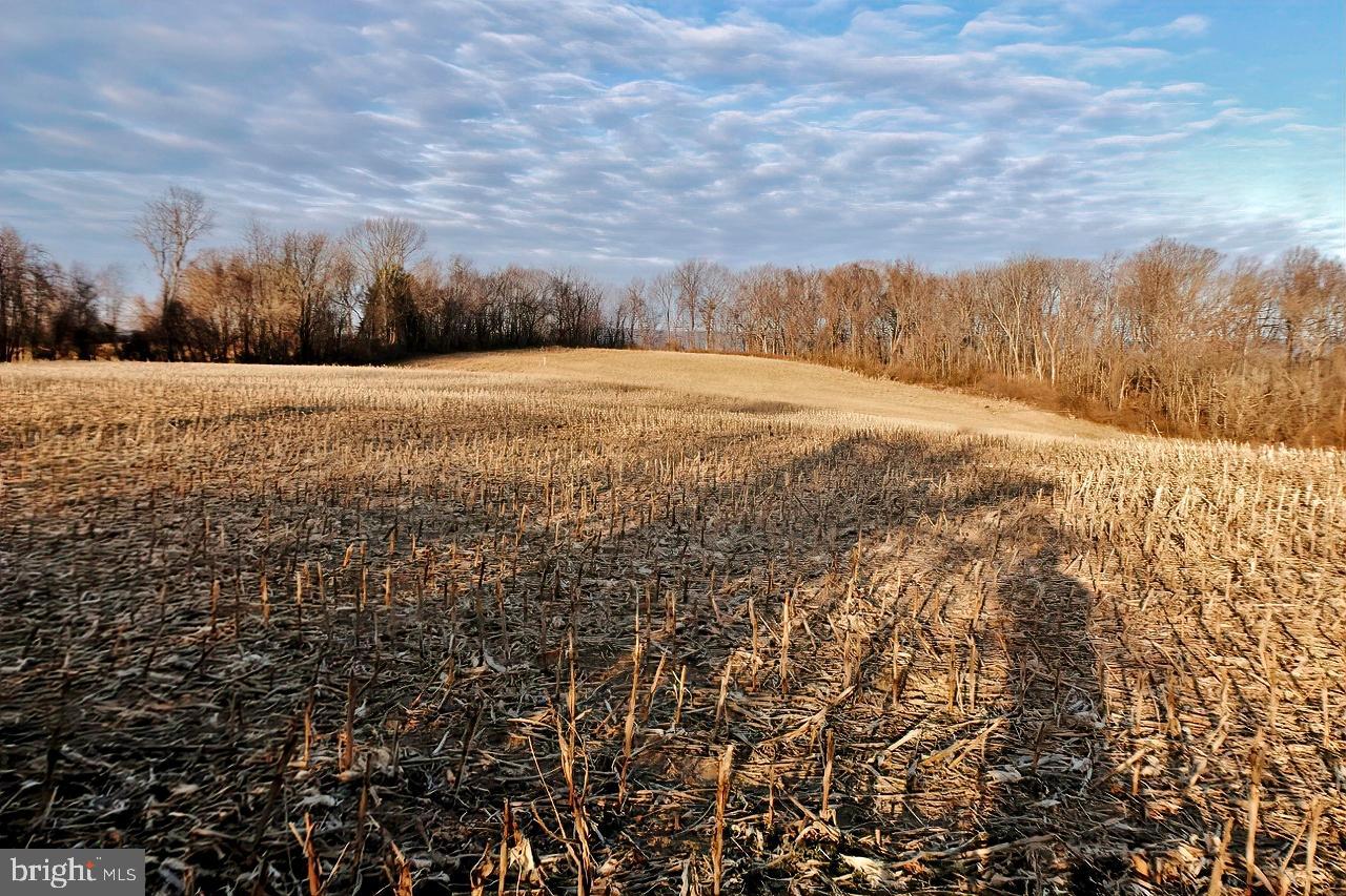 40455 QUARTER BRANCH RD, LOVETTSVILLE, Virginia 20180, ,Land,For Sale,40455 QUARTER BRANCH RD,VALO2090088 MLS # VALO2090088 40455 QUARTER BRANCH RD, LOVETTSVILLE, Virginia 20180, ,Land,For Sale,40455 QUARTER BRANCH RD,VALO2090088 MLS # VALO2090088