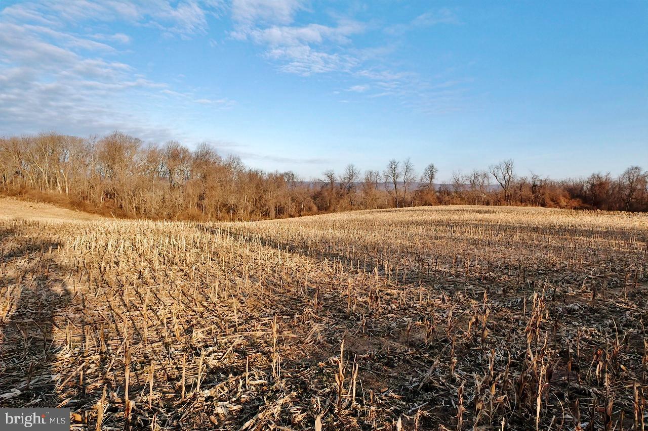 40455 QUARTER BRANCH RD, LOVETTSVILLE, Virginia 20180, ,Land,For Sale,40455 QUARTER BRANCH RD,VALO2090088 MLS # VALO2090088 40455 QUARTER BRANCH RD, LOVETTSVILLE, Virginia 20180, ,Land,For Sale,40455 QUARTER BRANCH RD,VALO2090088 MLS # VALO2090088