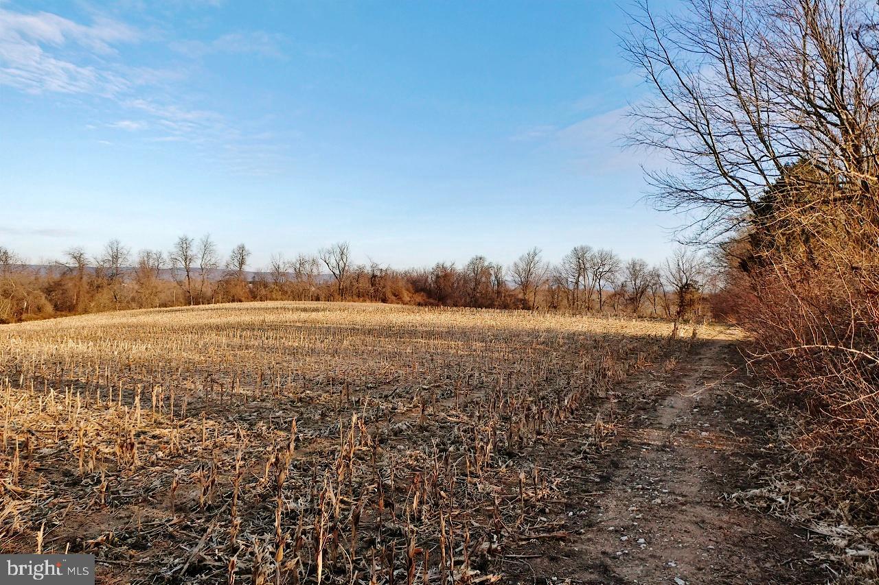 40455 QUARTER BRANCH RD, LOVETTSVILLE, Virginia 20180, ,Land,For Sale,40455 QUARTER BRANCH RD,VALO2090088 MLS # VALO2090088 40455 QUARTER BRANCH RD, LOVETTSVILLE, Virginia 20180, ,Land,For Sale,40455 QUARTER BRANCH RD,VALO2090088 MLS # VALO2090088