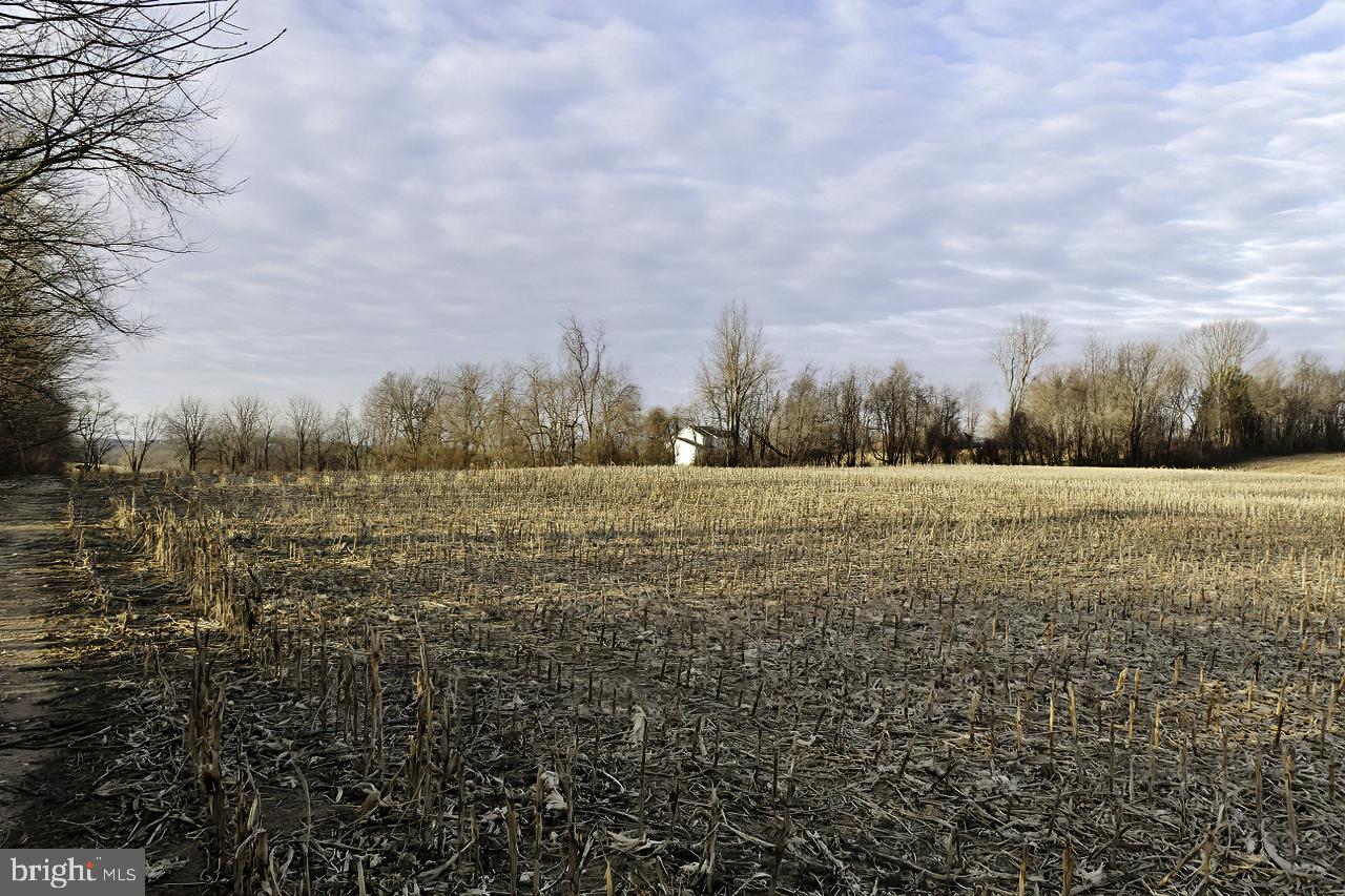 40455 QUARTER BRANCH RD, LOVETTSVILLE, Virginia 20180, ,Land,For Sale,40455 QUARTER BRANCH RD,VALO2090088 MLS # VALO2090088 40455 QUARTER BRANCH RD, LOVETTSVILLE, Virginia 20180, ,Land,For Sale,40455 QUARTER BRANCH RD,VALO2090088 MLS # VALO2090088